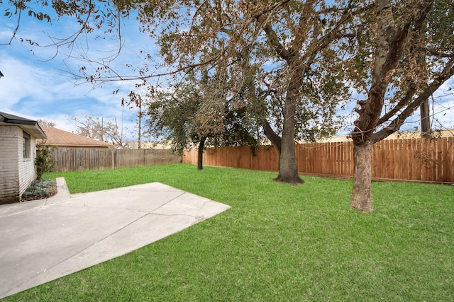 view of yard featuring a patio area