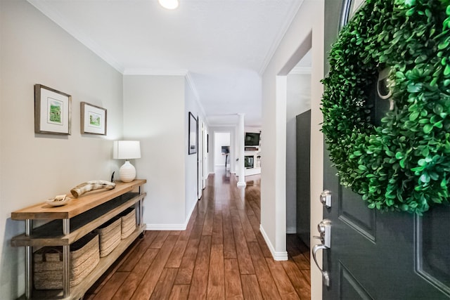 corridor featuring ornamental molding and dark hardwood / wood-style flooring