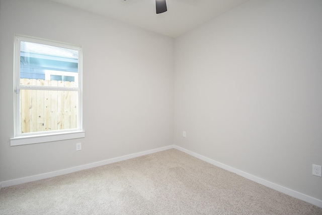 unfurnished room with ceiling fan and carpet