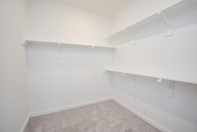 spacious closet with carpet flooring