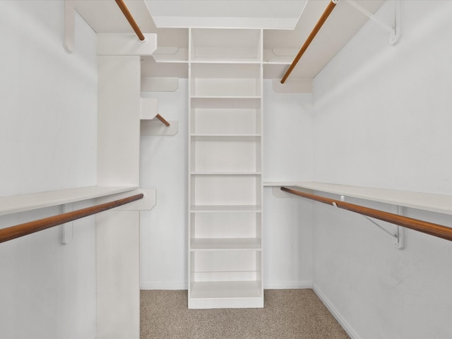 spacious closet featuring light colored carpet