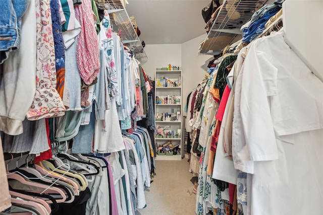 walk in closet with carpet