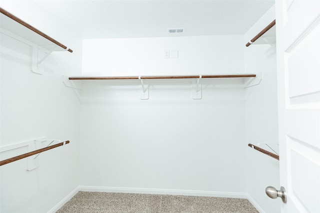 walk in closet with light colored carpet