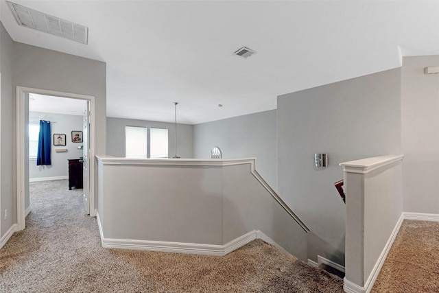 hallway featuring carpet flooring and a wealth of natural light