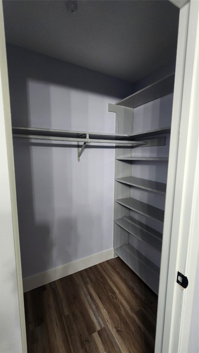 spacious closet featuring wood-type flooring