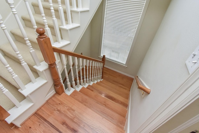 stairway with hardwood / wood-style floors