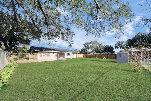 view of yard with a storage shed