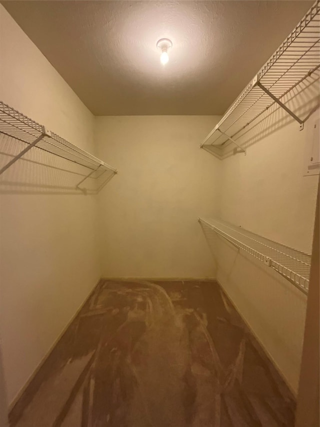 walk in closet with carpet