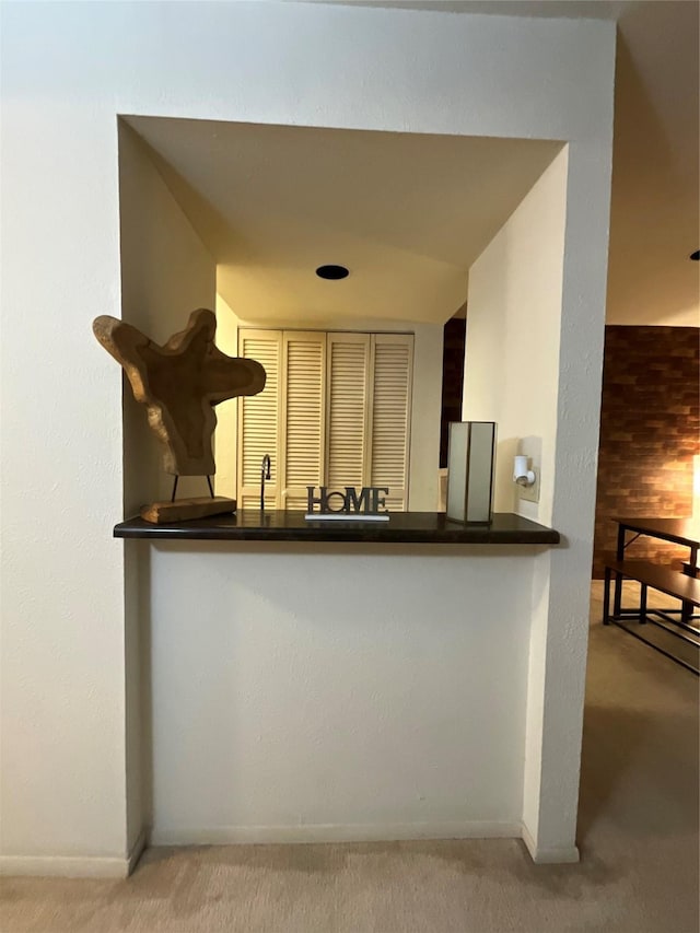 kitchen featuring light carpet and sink