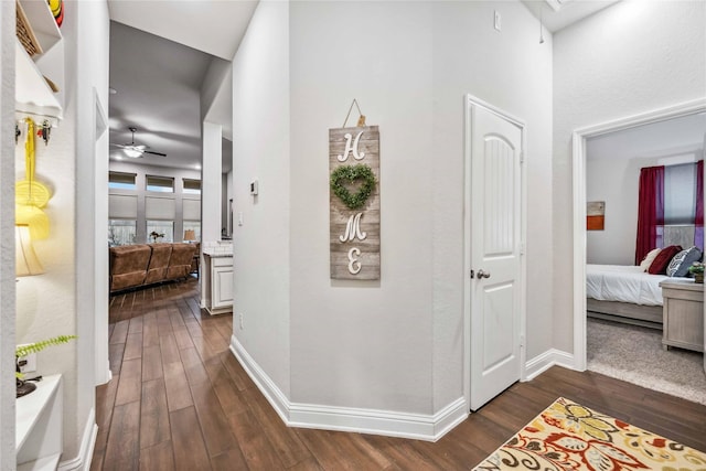 hallway featuring dark hardwood / wood-style floors