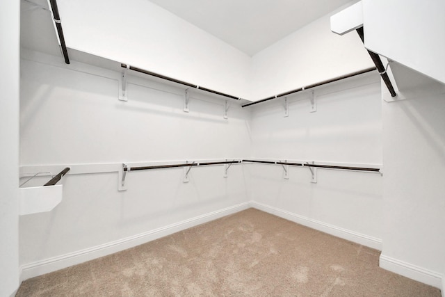 walk in closet with light colored carpet