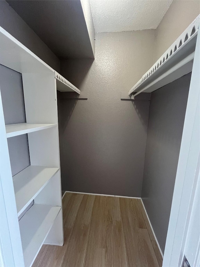 walk in closet featuring hardwood / wood-style flooring