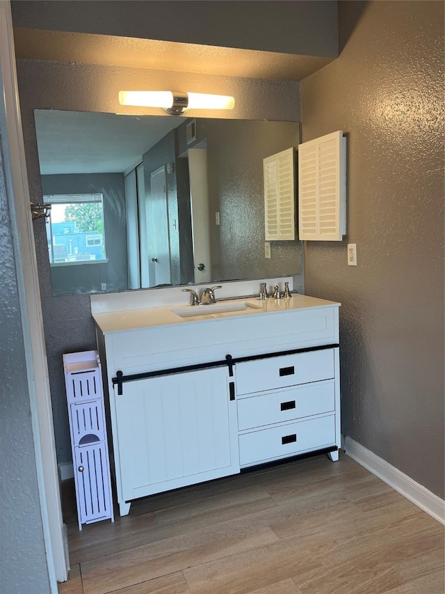 bathroom with hardwood / wood-style flooring and vanity