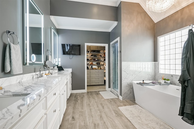 full bath with wood finished floors, a sink, a spacious closet, double vanity, and crown molding