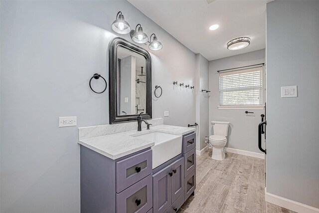 bathroom with vanity, hardwood / wood-style floors, and toilet