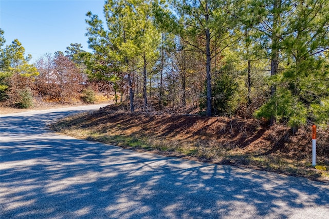 215-225 Pine Path, Bastrop, TX 78602 - photo 2