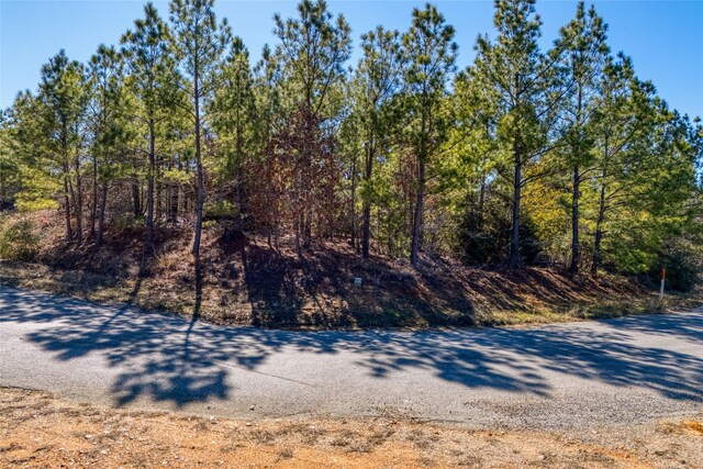 215-225 Pine Path, Bastrop, TX 78602 - photo 3