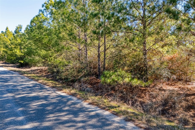 215-225 Pine Path, Bastrop, TX 78602 - photo 4