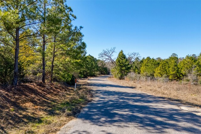 215-225 Pine Path, Bastrop, TX 78602 - photo 5