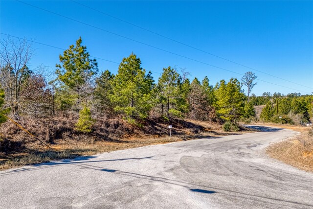 215-225 Pine Path, Bastrop, TX 78602 - photo 6