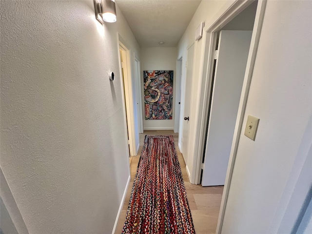 hall featuring light hardwood / wood-style floors