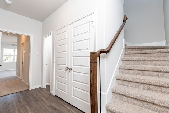 stairway with hardwood / wood-style floors