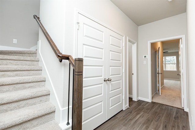 staircase with hardwood / wood-style flooring