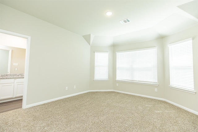 carpeted empty room featuring a wealth of natural light