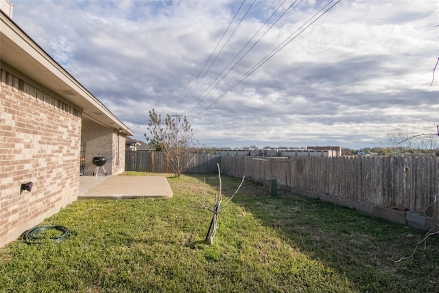 view of yard featuring a patio