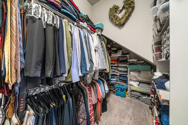 spacious closet featuring carpet flooring