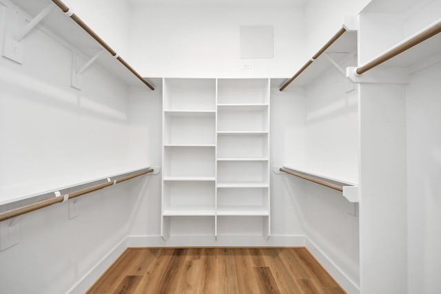 spacious closet with wood-type flooring