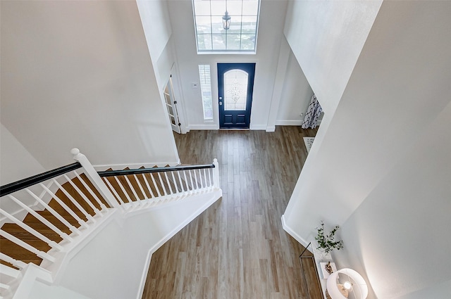 foyer entrance with hardwood / wood-style flooring and a high ceiling