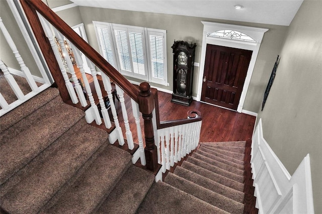 foyer entrance featuring dark hardwood / wood-style floors