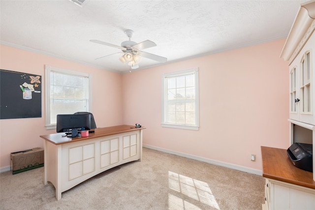 carpeted office space with crown molding, ceiling fan, a textured ceiling, and a wealth of natural light