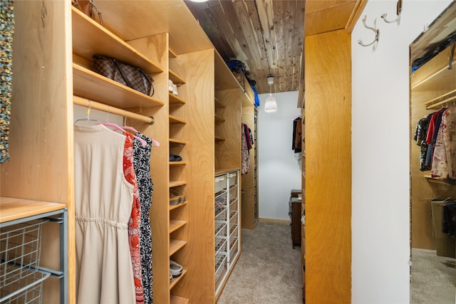 walk in closet with carpet floors