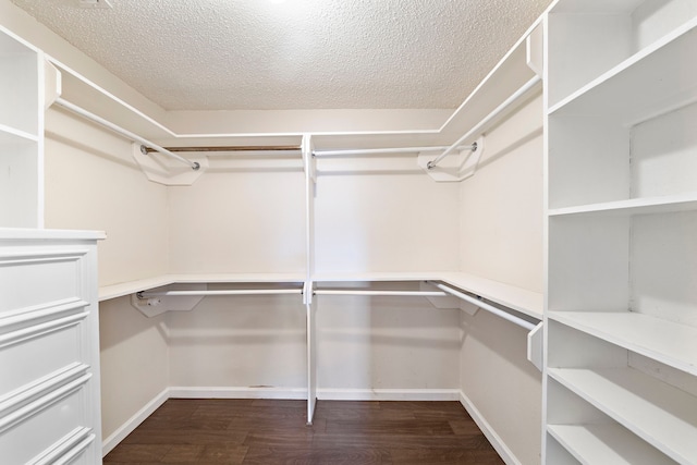 spacious closet with dark hardwood / wood-style flooring and built in desk