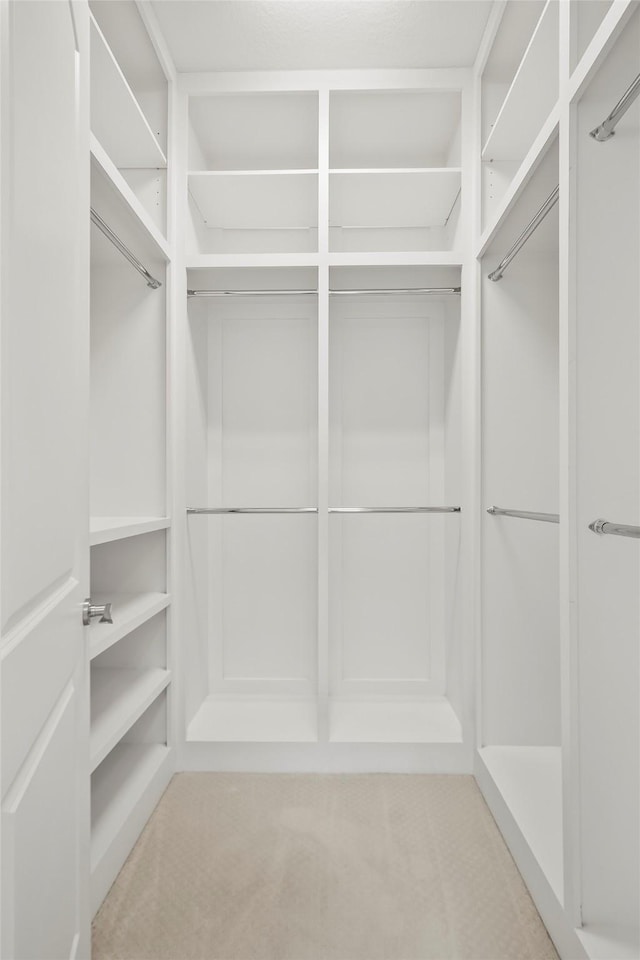 walk in closet featuring light carpet