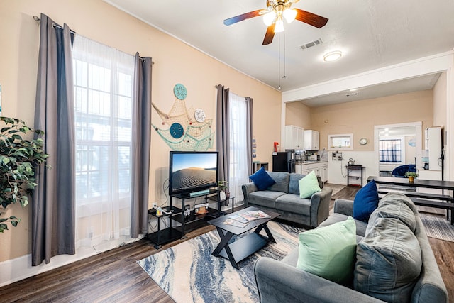 living room with a ceiling fan, visible vents, and dark wood-type flooring