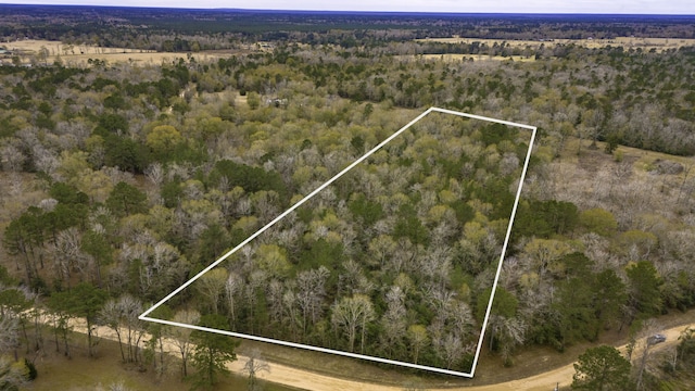 TBD E Capps Rd, Livingston TX, 77351 land for sale