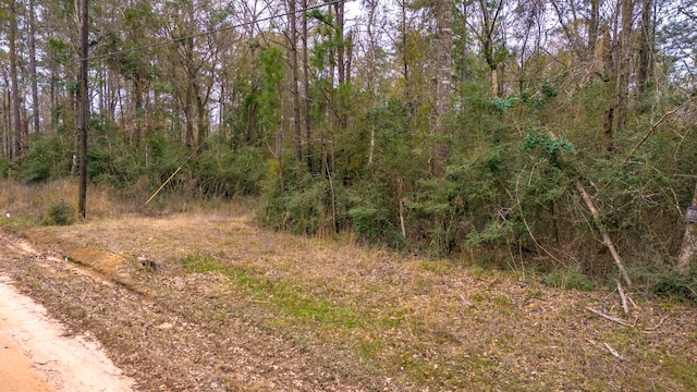 Listing photo 3 for TBD E Capps Rd, Livingston TX 77351