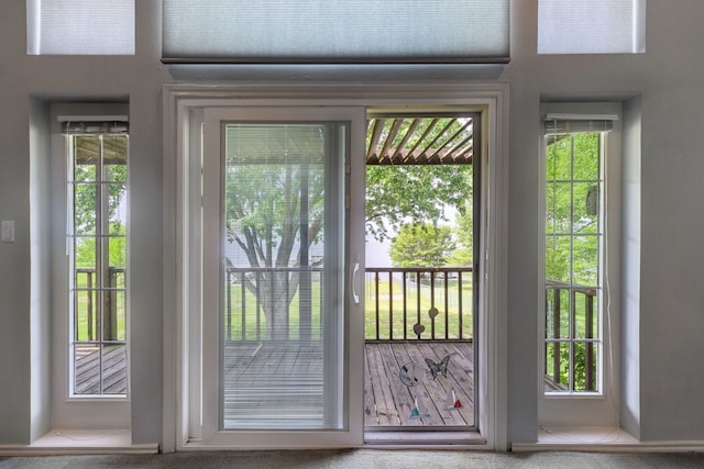 entryway featuring carpet floors