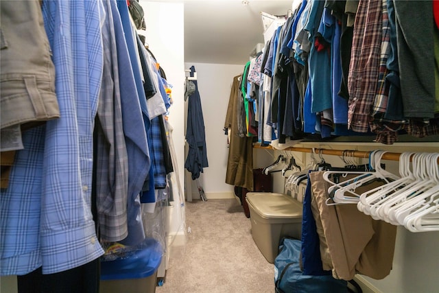 walk in closet with light carpet