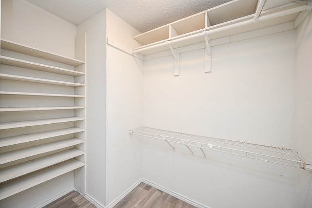 walk in closet with hardwood / wood-style flooring