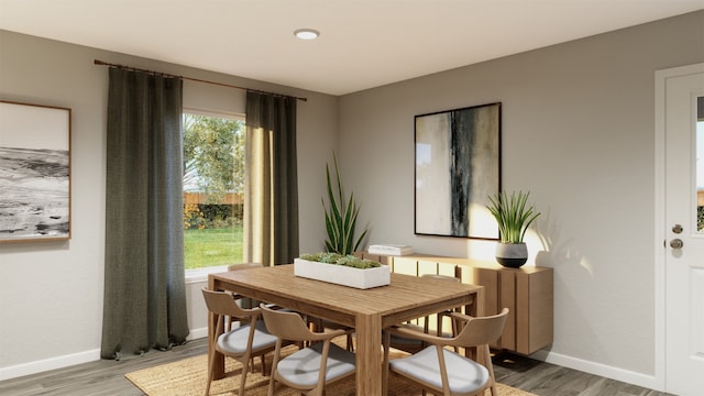 dining room featuring baseboards and wood finished floors