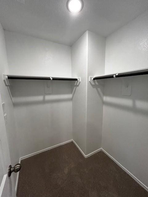 walk in closet featuring carpet flooring