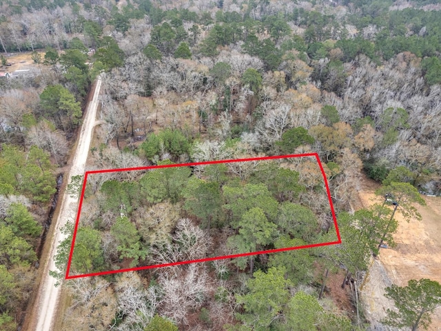 321 Pine Valley Dr, Shepherd TX, 77371 land for sale