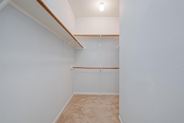 walk in closet with light colored carpet