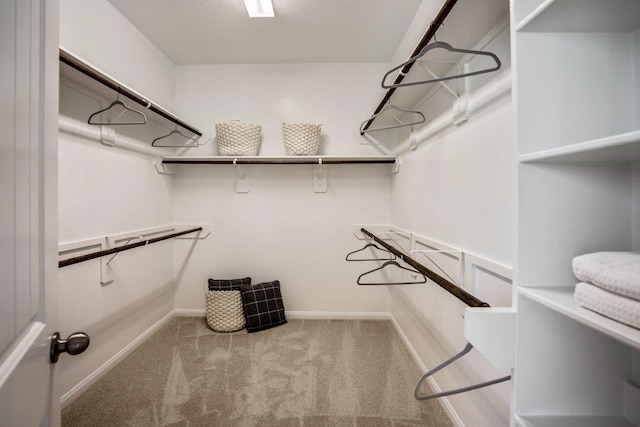 spacious closet featuring light colored carpet