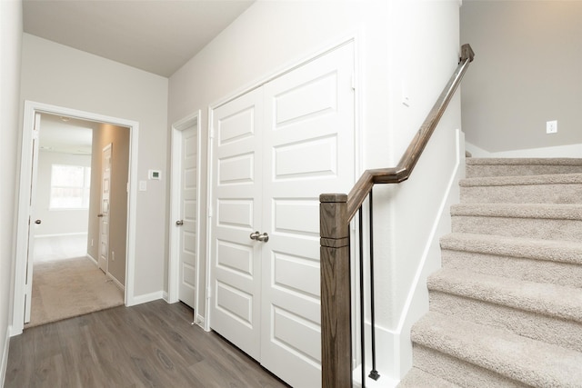 staircase with wood-type flooring