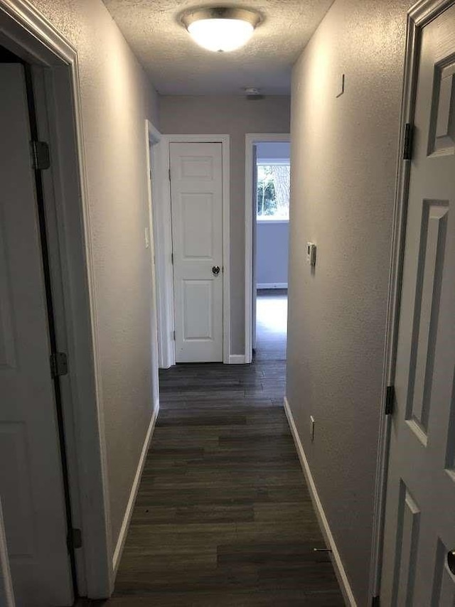 corridor featuring dark hardwood / wood-style flooring and a textured ceiling